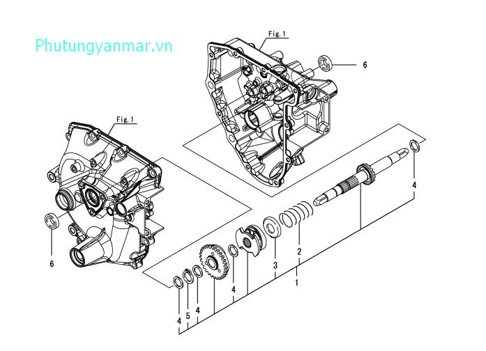 Trục ly hợp cấy